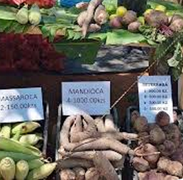 Feira Agrícola