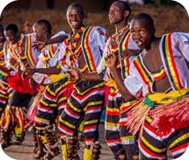Festival de Verão da Baía Farta